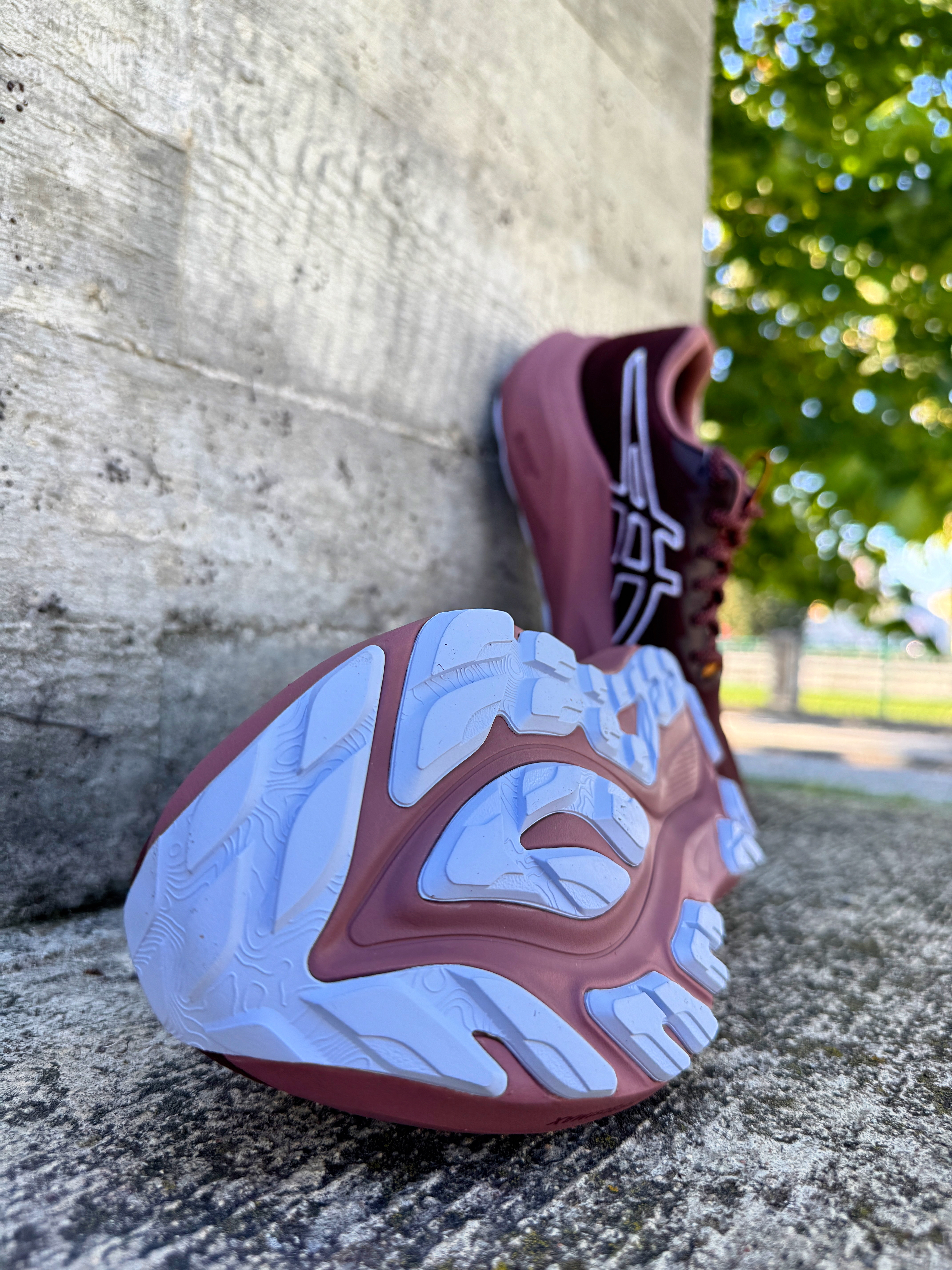 Dámské běžecké boty Asics GT-2000 14 TR